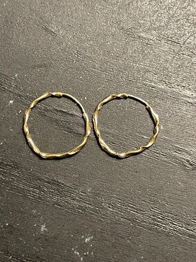 Small Gold Hoop Earrings